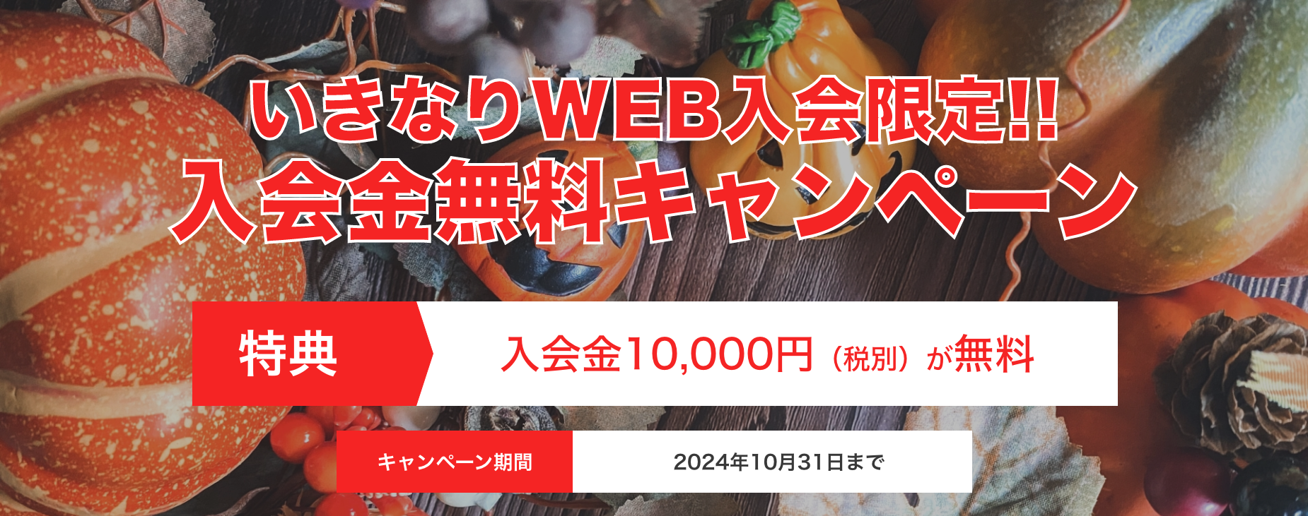 いきなり！WEBキャンペーン画像